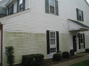 Siding Cleaning services