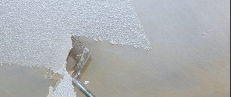 Read more about the article Popcorn Texture Removal
