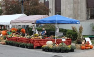 Deck repair Kansas City