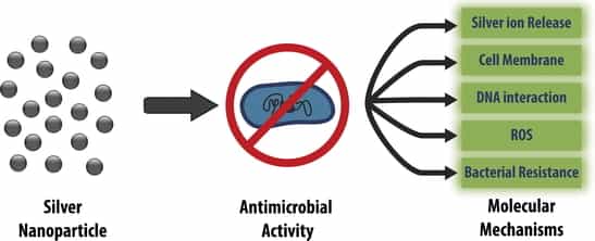 Silver_Antimicrobial_spray