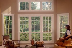Window Replacement By Decker Service Professionals